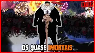 235- FORMAS DE IMORTALIDADE EM ONE PIECE | TEORIA