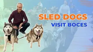 Sled Dogs Visit BOCES