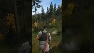 Лесная мясорубка в DayZ #dayz #dayzstandalone #дейз #dayzgameplay