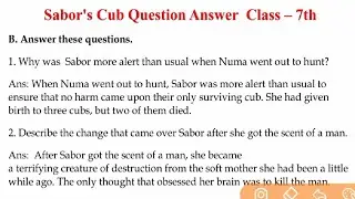 Sabor's Cub Question Answer The Magic Carpet English Class 7th