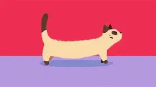 gatinho salsicha