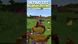Я убил МЕЛЛСТРОЯ с РПГ  на СВОем СЕРВЕРЕ МАЙНКРАФТ #minecraft #майнкрафт #wildgrief #funtime #майн