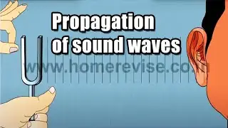 Propagation of Sound Waves | 9th Std CBSE | Home Revise