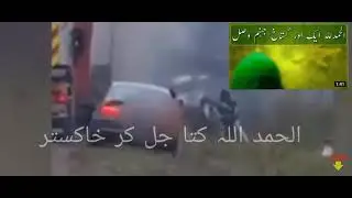 Maloon's Deat