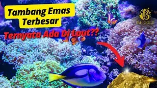 EMAS DI LAUTAN?? APAKAH ADA TAMBANG EMAS DI LAUTAN?