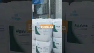 Algavita bioplazma ürününümüz 3×10⁶ cfu/ml alg sayısı ile rakiplerine fark atmaktadır. #bioplazma