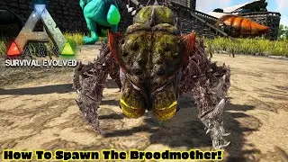 How To Spawn The 5 New Chibi Pets! Ark Turkey Trail Event 4 Part 2