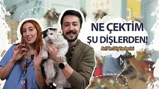 NE ÇEKTİM ŞU DİŞLERDEN! Arif'in Diş Tedavisi