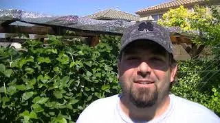 SEPTEMBER - WHAT TO PLANT in Phoenix Az