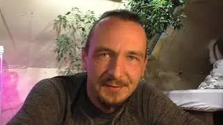 Пломбировка деревьев ч1.