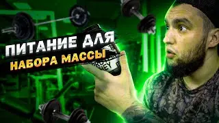 ВЛАД ГАНТЕЛЯ - ПИТАНИЕ ДЛЯ НАБОРА МАССЫ
