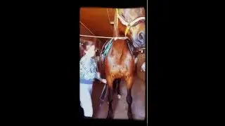 Седловка)))