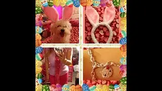 ♥ Blusa Lila con Minifalda con Tul Outfit de Pascua ♥