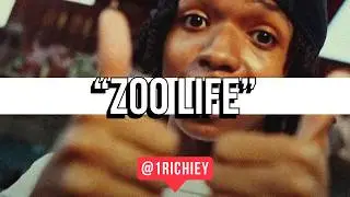 [FREE] BabyChiefDoIt Type Beat - Zoo Life
