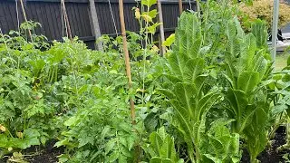 August Garden Tour UK