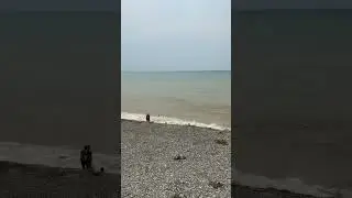 Крым, Николаевка. Море после шторма. Август 2021