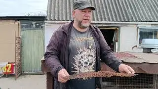 Нутрия Нутрий нет, а вопросы есть.