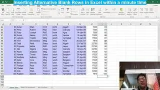 Insert Alternate Blank Rows in Excel | Insert blank row after every row in excel | Excel tutorial