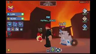 How to play pet fighting simulator??