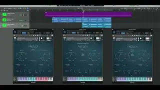 ARCTICA IN ACTION