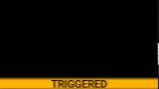 Шаблон After Effects - Вставка TRIGGERED