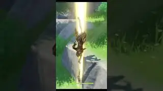 Genshin Impact Zhongli Plunging Bug Funny Cool ( ͡° ͜ʖ ͡°)