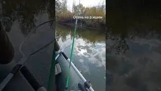 Осень на реке Ишим .по щуки полный ноль #рыбалка #2023 #казахстан #ишим #природа #осень2023