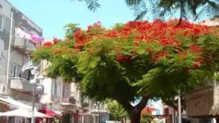 Israel Tel Aviv