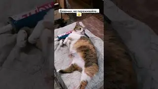 Девочки, не переживайте... 