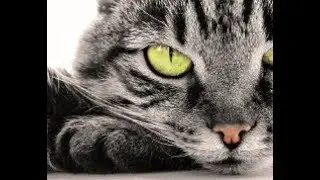 ♡♡♡♡♡                  ♡_♡                 ♡♡♡♡♡