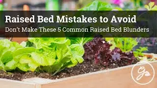 Raised Bed Mistakes To Avoid!