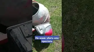 #тимасветлогорских