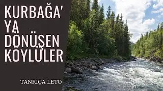 Kurbağa'ya Dönüşen Köylüler Tanrıça Leto / Mitoloji Durağı