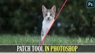 How To Use Patch Tool In Photoshop I Photoshop Patch Tool Tutorial