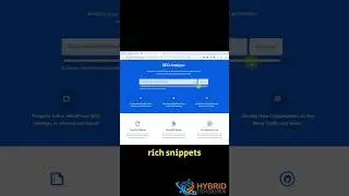 SEO Analyzer Tutorial – Improve Your SEO in Minutes! #shorts