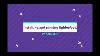 Spiderfoot Tool Installation and Domain Scanning.
