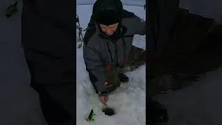ВЫМАНИЛ РЫБКУ