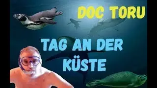 Aquarium Wilhelmshaven (Aquarium, Doku, Wissen, Infos und Tipps) - Top Tipp für Urlaub & Freizeit