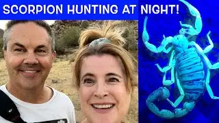 Come Scorpion Hunting With Us!!!  🦂