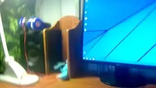 Мойдомдва
