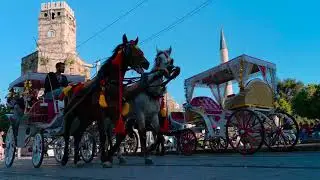 । Copyright free, No copyright stock footage, Royalty free people videos for youtube || Horse