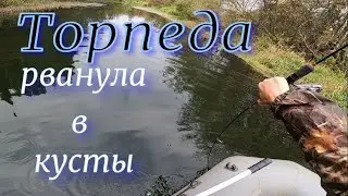 Торпеда рванула в кусты Руки тресутся от такой рыбалки