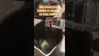 Как быстро почистить чайник от накипи!