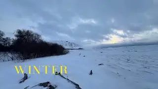 WINTER | Cinematic