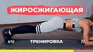 Жиросжигающая тренировка для похудения дома, без дополнительного оборудования