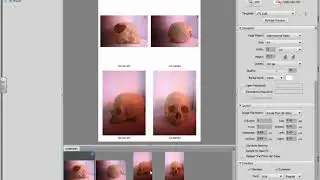 How to create a contact sheet in adobe bridge the easy way.