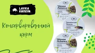 Консервированный корм для рептилий 