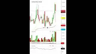 RAIN INDUSTRIES SHARE TARGET RGL SHARE TARGET KANORI CHEM SHARE TARGET