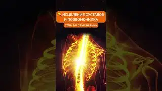 Исцеление СУСТАВОВ и ПОЗВОНОЧНИКА | Снятие БОЛИ в Спине 