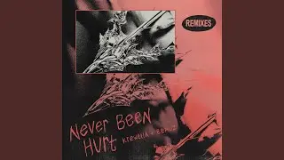 Never Been Hurt (BVRNOUT Remix)